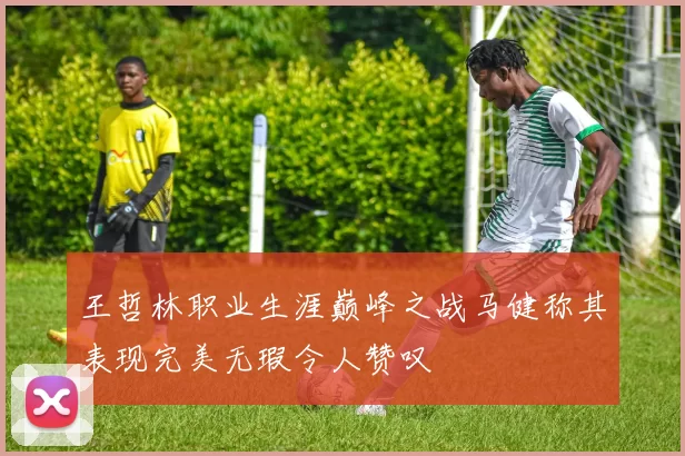 王哲林职业生涯巅峰之战马健称其表现完美无瑕令人赞叹